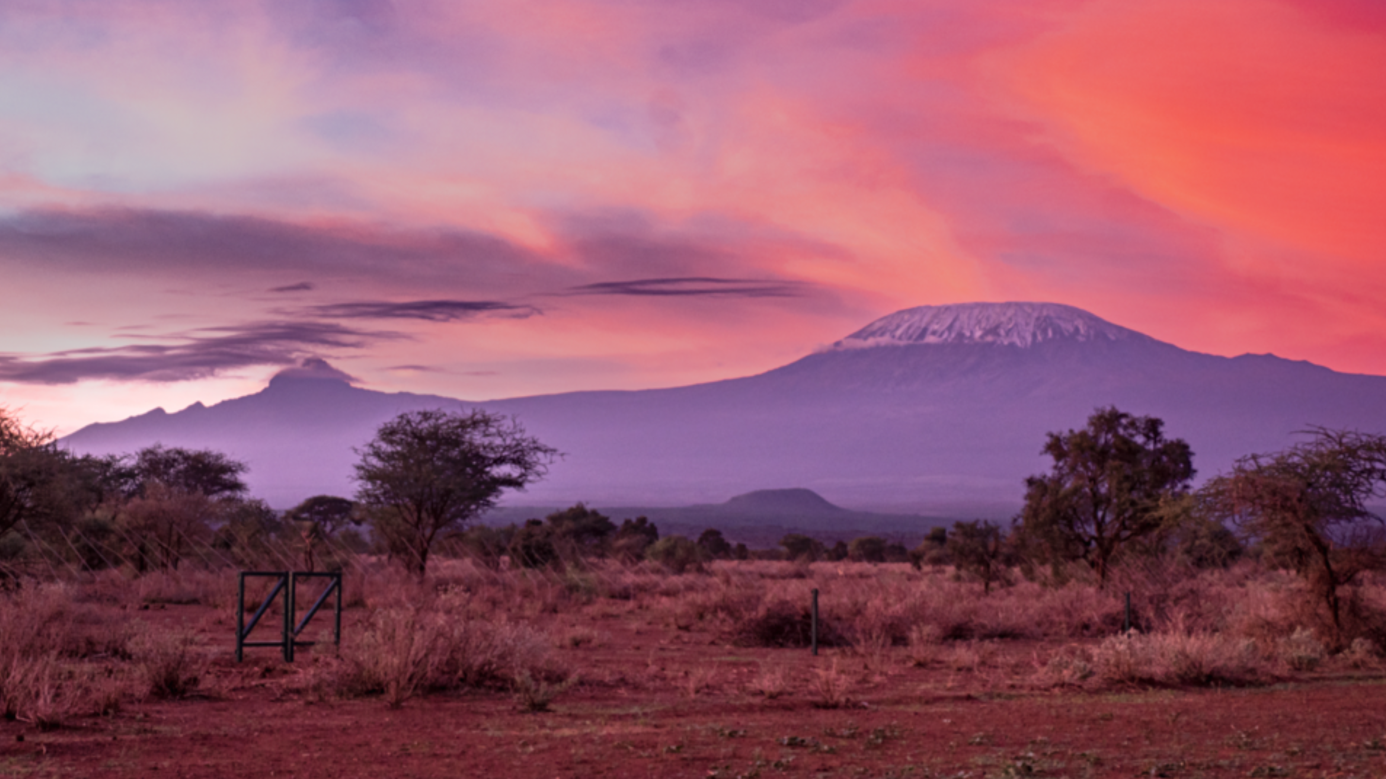 Tulia Amboseli Safari Camp thumbnail 8